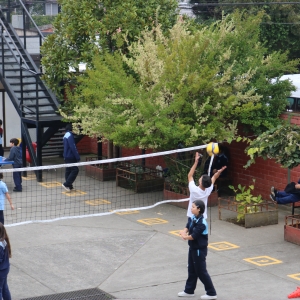 Día de la Actividad Física